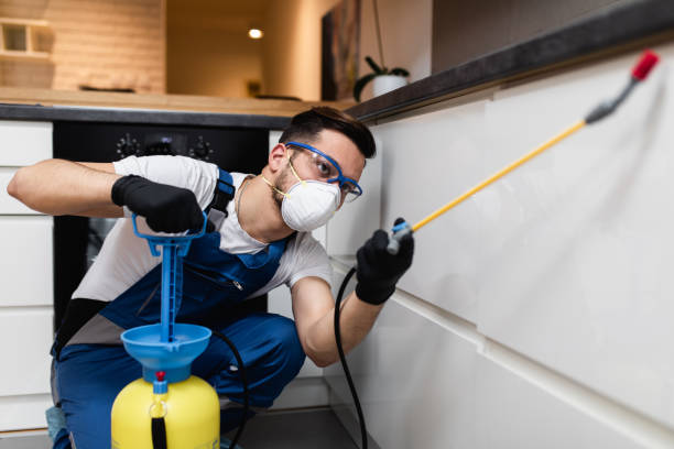 Best Bed Bug Extermination  in Dripping Springs, TX