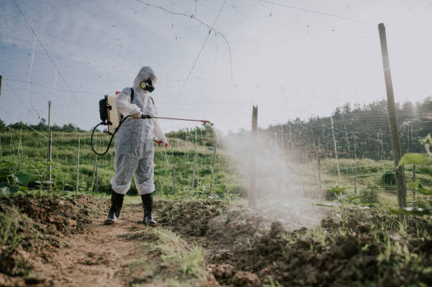 Best Mosquito Control Services  in Dripping Springs, TX