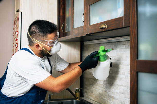 Best Local Pest Control Services  in Dripping Springs, TX