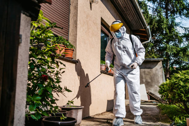 Best Pest Control Treatment  in Dripping Springs, TX
