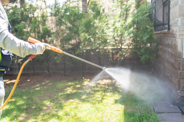 Best Best Pest Control Companies  in Dripping Springs, TX