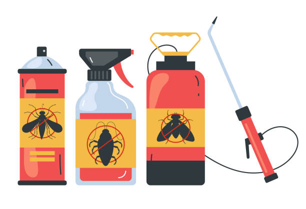 Professional Pest Control in Dripping Springs, TX
