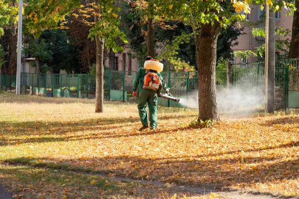 Best Best Pest Control Companies  in Dripping Springs, TX