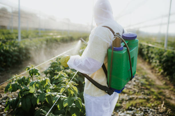 Reliable Dripping Springs, TX Pest Control Solutions